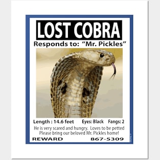 Lost Cobra Posters and Art
